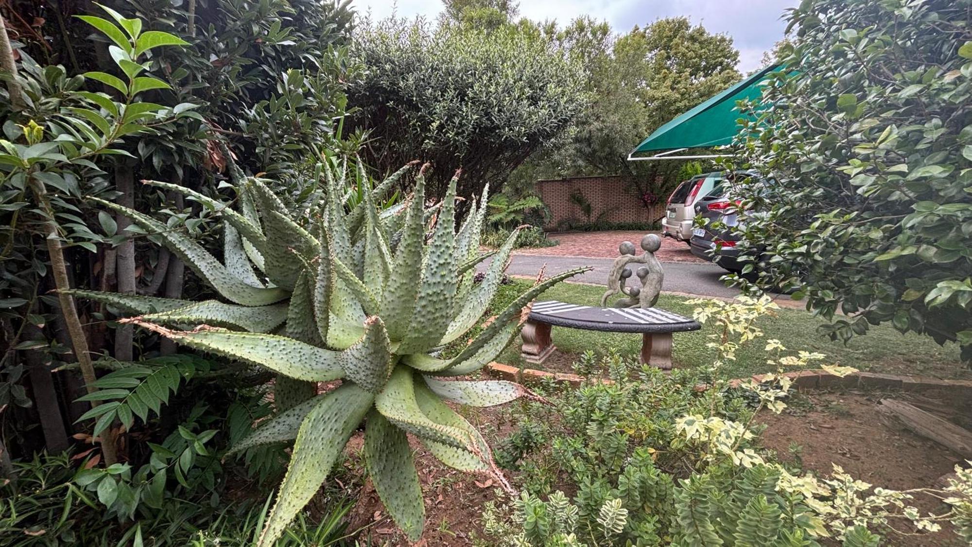 Seldre Guest House Nigel Dış mekan fotoğraf